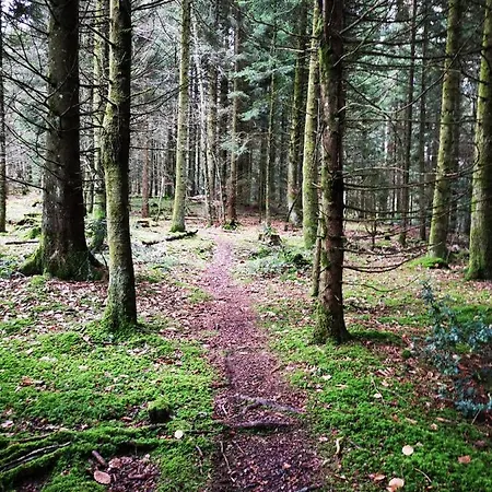 Le Mas De Chartreuse Miribel-les-Échelles Buitenkant foto
